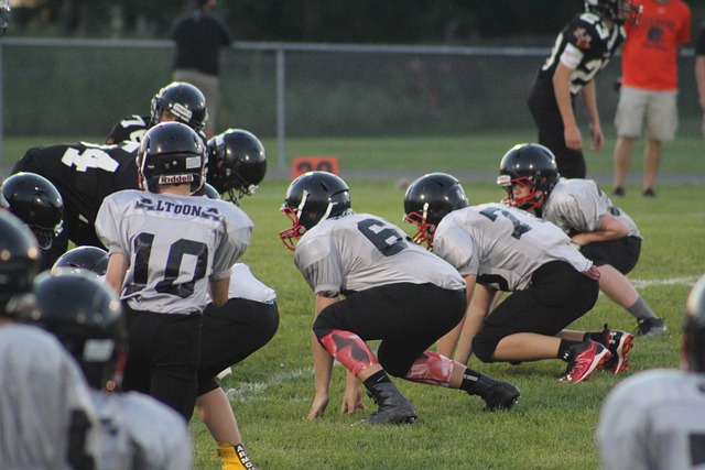 曼联未来的 曼联未来的