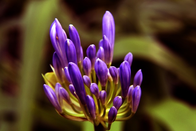 西甲豪门皇 西甲豪门皇