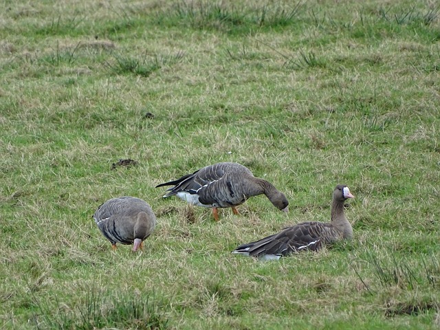 远发展打下 远发展打下