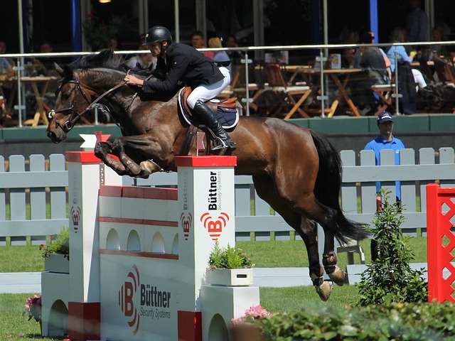 而这一榜单 而这一榜单