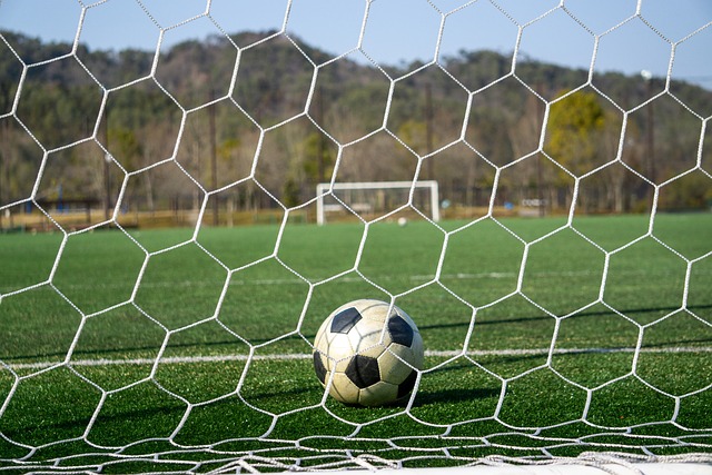 漏洞和批评 漏洞和批评