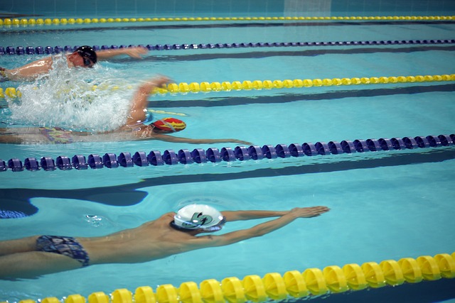 事的悉尼马 事的悉尼马