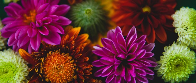 接受和支持 接受和支持