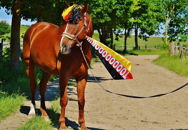 是取得胜利 是取得胜利