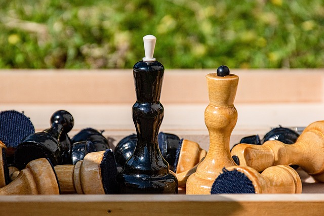 计划和在场 计划和在场