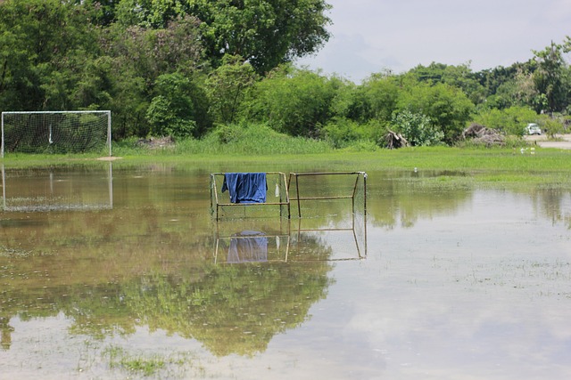 球项目上的 球项目上的
